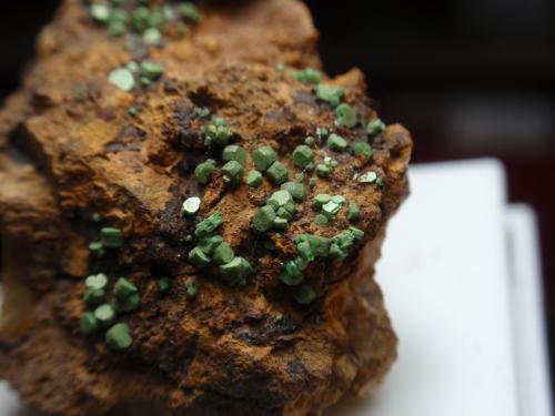 Torbernita<br />Pinhal do Souto Mine, Tragos, Chãs de Tavares, Mangualde, Viseu District, Dão-Lafões, Centro, Portugal<br />25x30 mm<br /> (Autor: Ignacio)
