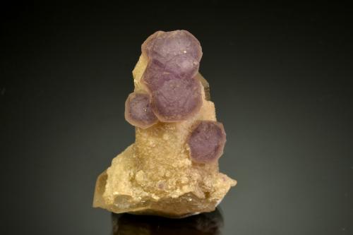 Fluorite<br />Minas da Panasqueira, Aldeia de São Francisco de Assis, Covilhã, Castelo Branco, Cova da Beira, Región Centro, Portugal<br />5.0 x 3.4 x 2.2 cm.<br /> (Author: Michael Shaw)