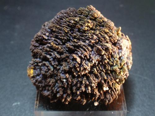 Goethita<br />Mina Trinidad, Cerros del Romeral y Pechón, Benalmádena-Mijas, Comarca Costa del Sol Occidental, Málaga, Andalucía, España<br />60x45 mm<br /> (Autor: Ignacio)