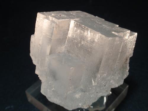 Halita<br />Zona Demnate, Provincia Azilal, Región Béni Mellal-Khénifra, Marruecos<br />40x40 mm<br /> (Autor: Ignacio)