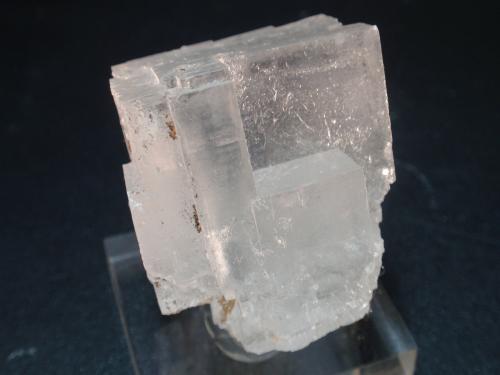 Halita<br />Zona Demnate, Provincia Azilal, Región Béni Mellal-Khénifra, Marruecos<br />40x40 mm<br /> (Autor: Ignacio)