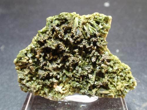 Epidota<br />Medina de Pomar, Comarca Las Merindades, Burgos, Castilla y León, España<br />45x35 mm<br /> (Autor: Ignacio)