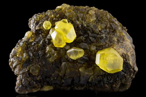 Sulphur<br />Sicily, Italy<br />14 x 10 x 8 cm / main crystal: 3.2 cm<br /> (Author: MIM Museum)