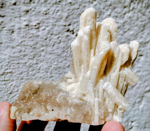 Aragonito (variedad tarnowitzita), Smithsonita<br />Touissit, Distrito Touissit, Provincia Jerada, Región Oriental, Marruecos<br />8,0 x 6,5 x 2,8 cm<br /> (Autor: carles)