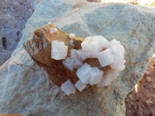 Halita<br />Salinas de Imón, Imón, Sigüenza, Comarca Serranía de Guadalajara, Guadalajara, Castilla-La Mancha, España<br />Cristal mayor 2 cm<br /> (Autor: Cesar M. Salvan)