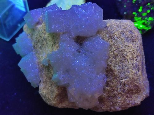 Halita<br />Salinas de Imón, Imón, Sigüenza, Comarca Serranía de Guadalajara, Guadalajara, Castilla-La Mancha, España<br /><br /> (Autor: Cesar M. Salvan)