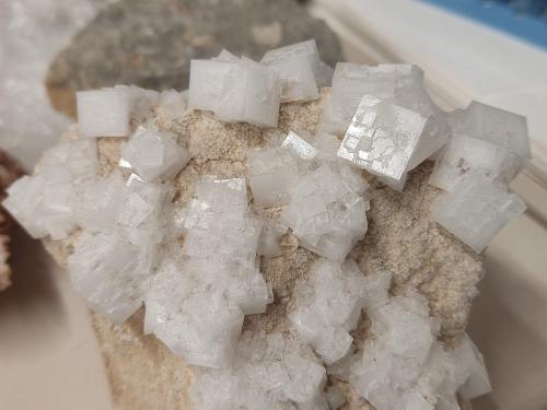 Halita<br />Salinas de Imón, Imón, Sigüenza, Comarca Serranía de Guadalajara, Guadalajara, Castilla-La Mancha, España<br />10 cm<br /> (Autor: Cesar M. Salvan)