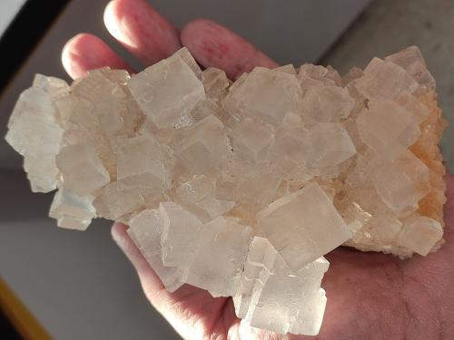 Halita<br />Mina Klodawa, Klodawa, Wielkopolskie, Polonia<br />14 cm<br /> (Autor: Cesar M. Salvan)