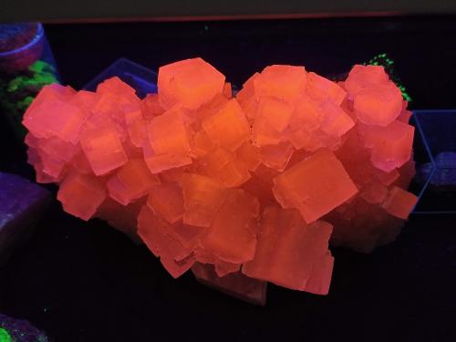 Halita<br />Mina Klodawa, Klodawa, Wielkopolskie, Polonia<br />14 cm<br /> (Autor: Cesar M. Salvan)