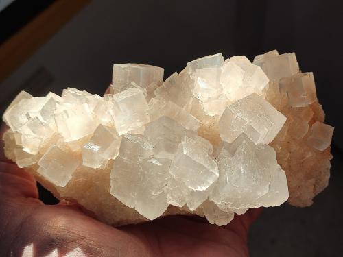 Halita<br />Mina Klodawa, Klodawa, Wielkopolskie, Polonia<br />14 cm<br /> (Autor: Cesar M. Salvan)