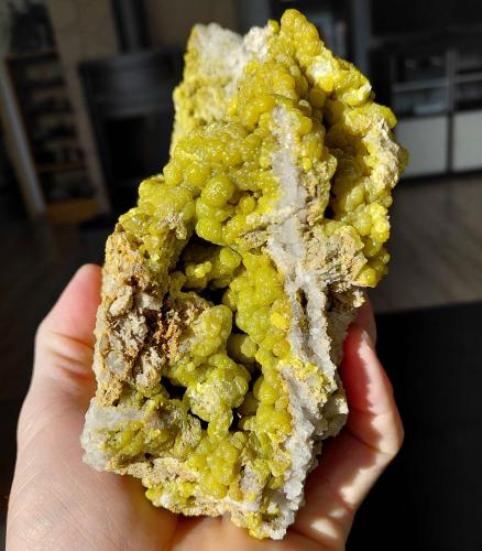 Pyromorphite<br />Zona de la Mina La Vidale, Asprières, Saint-Martin de Bouillac, Aveyron, Occitanie, Francia<br />FOV 12 cm<br /> (Author: Tobi)