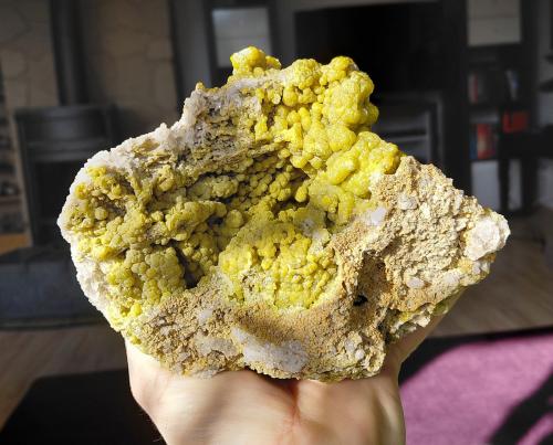 Pyromorphite<br />Zona de la Mina La Vidale, Asprières, Saint-Martin de Bouillac, Aveyron, Occitanie, Francia<br />17 x 12 cm<br /> (Author: Tobi)