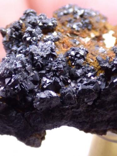 Krutaita<br />Mina El Dragón, Provincia Antonio Quijarro, Departamento Potosí, Bolivia<br />2,2 x 1,1 x 1 cm.  6,6 g.<br /> (Autor: J. G. Alcolea)