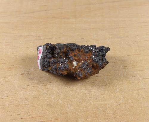 Krutaita<br />Mina El Dragón, Provincia Antonio Quijarro, Departamento Potosí, Bolivia<br />2,2 x 1,1 x 1 cm.  6,6 g.<br /> (Autor: J. G. Alcolea)