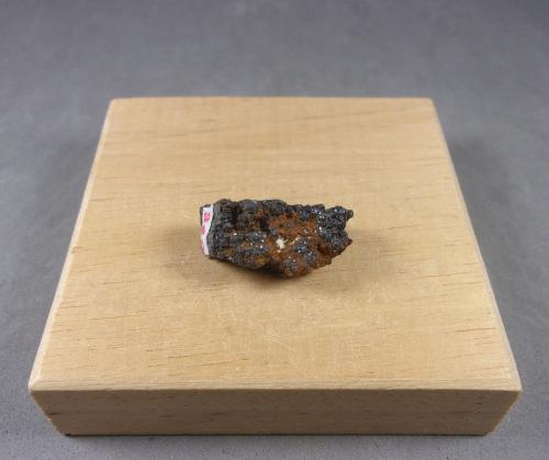 Krutaita<br />Mina El Dragón, Provincia Antonio Quijarro, Departamento Potosí, Bolivia<br />2,2 x 1,1 x 1 cm. 6,6 g. Cristales de menos de 1 milímetro.<br /> (Autor: J. G. Alcolea)