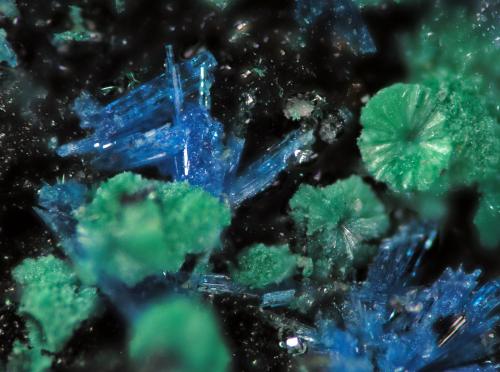 Linarita<br />Mina Terreras, Filón "Terreras", Alto del pozo del Carril, Villanueva del Duque, Comarca Los Pedroches, Córdoba, Andalucía, España<br />FOV 0.5 cm<br /> (Autor: Cesar M. Salvan)