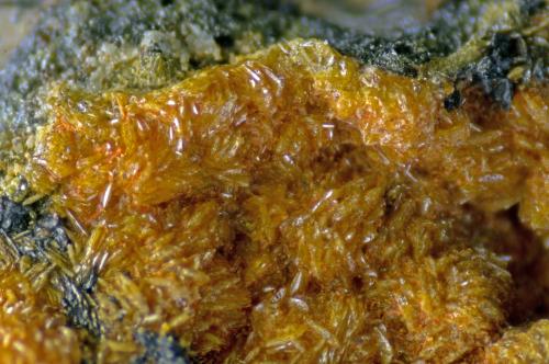 Descloizita<br />Mina El Pastor, Fuente de Unhueso, Villanueva del Duque, Comarca Los Pedroches, Córdoba, Andalucía, España<br />FOV 1 cm<br /> (Autor: Cesar M. Salvan)