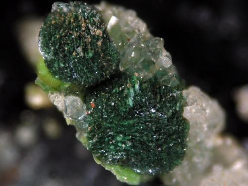 Chenevixita<br />El Guijo, Comarca Los Pedroches, Córdoba, Andalucía, España<br />FOV 2.5mm<br /> (Autor: Cesar M. Salvan)