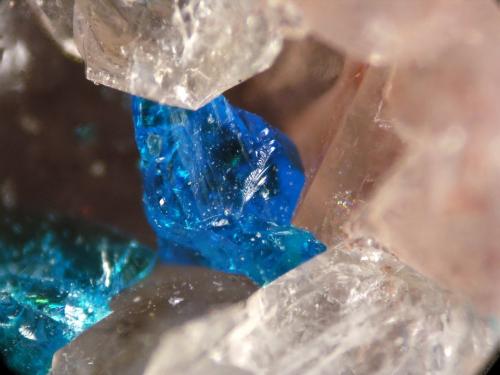 Calcomenita<br />El Guijo, Comarca Los Pedroches, Córdoba, Andalucía, España<br />FOV 0.5 cm<br /> (Autor: Cesar M. Salvan)