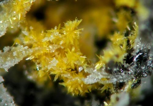 Kasolita<br />Mina San Rafael, Cardeña, Comarca Los Pedroches, Córdoba, Andalucía, España<br />FOV 0.5 mm<br /> (Autor: Cesar M. Salvan)