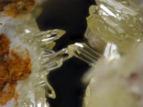 Vanadinita<br />Mina La Solución, Fuente Obejuna, Comarca Valle del Guadiato, Córdoba, Andalucía, España<br />FOV 3 mm<br /> (Autor: Cesar M. Salvan)