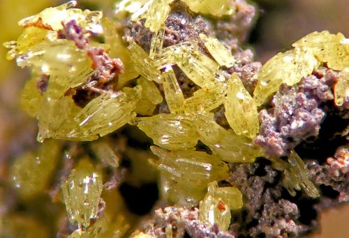 Vanadinita<br />Mina La Solución, Fuente Obejuna, Comarca Valle del Guadiato, Córdoba, Andalucía, España<br />FOV 3 mm<br /> (Autor: Cesar M. Salvan)