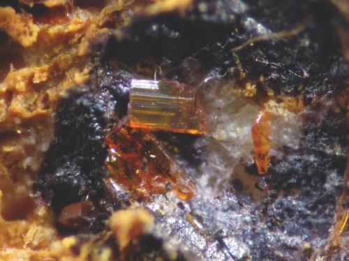 Calderonita<br />Mina Julio, Grupo Minero de Navalespino, Dehesa de Navalespino, Fuente Obejuna, Comarca Valle del Guadiato, Córdoba, Andalucía, España<br />cristal 1 mm<br /> (Autor: Cesar M. Salvan)