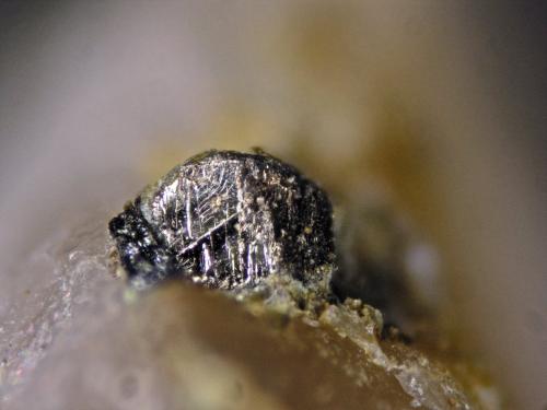 Bismuto<br />Cogolla Alta Mine, Belalcázar, Comarca Los Pedroches, Córdoba, Andalusia, Spain<br />Cristal 2 mm<br /> (Autor: Cesar M. Salvan)