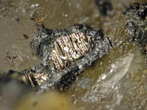 Bismuto<br />Cogolla Alta Mine, Belalcázar, Comarca Los Pedroches, Córdoba, Andalusia, Spain<br />FOV 1 cm<br /> (Autor: Cesar M. Salvan)