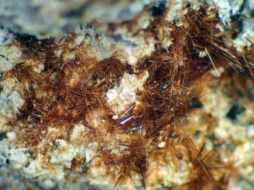 Yuanfuliita<br />Minas Nuestra Señora del Carmen, La Celia, Jumilla, Comarca Altiplano, Región de Murcia (Murcia), España<br />Campo de visión 10 mm.<br /> (Autor: Antonio P. López)