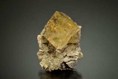Fluorite<br />Cantera May Stone and Sand (Cantera Hoosier Sand and Gravel), Fort Wayne, Condado Allen, Indiana, USA<br />4.0 x 3.2 x 1.5 cm<br /> (Author: Michael Shaw)