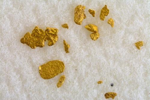 Oro<br />Las Médulas, Carucedo, Comarca El Bierzo, León, Castilla y León, España<br />FOV 1.5 cm<br /> (Autor: Cesar M. Salvan)