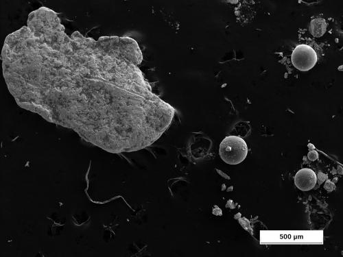 Oro<br /><br /><br /> (Autor: Cesar M. Salvan)