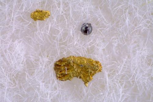 Oro<br />Las Médulas, Carucedo, Comarca El Bierzo, León, Castilla y León, España<br />FOV 3 mm<br /> (Autor: Cesar M. Salvan)