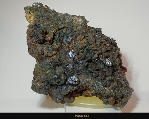 Cuarzo  (variedad prasio)<br />Mina Balsa Depositaria, El Pino, El Gorguel, Cartagena, Comarca Campo de Cartagena, Región de Murcia (Murcia), España<br />6 x 7 cm.<br /> (Autor: Felipe Abolafia)