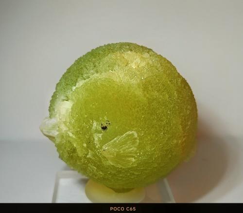 Prehnita<br />Cantera Oficarsa, Cerro de las Culebras, Carchelejo, Cárcheles, Comarca Sierra Mágina, Jaén, Andalucía, España<br />3,5 cm. de diámetro.<br /> (Autor: Felipe Abolafia)