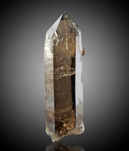 Quartz<br />Central St Gotthard Massif, Leventina, Ticino (Tessin), Switzerland<br />Specimen height 12,5 cm<br /> (Author: Tobi)
