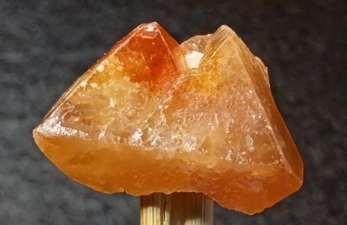 Scheelita<br />Monte Xuebaoding, Pingwu, Prefectura Mianyang, Provincia Sichuan, China<br />2,5 x 1,5 cm.<br /> (Autor: Felipe Abolafia)