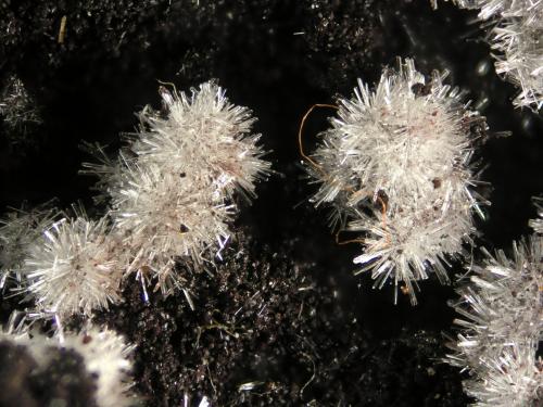 Wavellita<br />Sierra del Aljibe, Aliseda, Comarca Tajo-Salor Almonte, Cáceres, Extremadura, España<br />FOV 0.5 cm<br /> (Autor: Cesar M. Salvan)