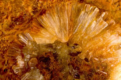 Wavellita<br />Alcor del Roble, Cáceres ciudad, Comarca de Cáceres, Cáceres, Extremadura, España<br />FOV 1.2 cm<br /> (Autor: Cesar M. Salvan)