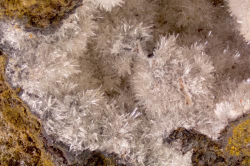 Wavellita<br />Sierra del Aljibe, Aliseda, Comarca Tajo-Salor Almonte, Cáceres, Extremadura, España<br />FOV 1 cm<br /> (Autor: Cesar M. Salvan)