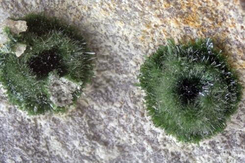 Olivenita<br />Loma de las Minillas, Fiñana, Municipio Fiñana, Comarca Los Filabres-Tabernas, Almería, Andalusia, Spain<br />FOV 1.5 cm<br /> (Autor: Cesar M. Salvan)