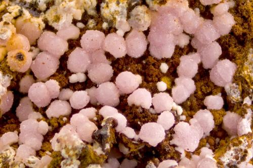 Strengita<br />Cerro del Gallo, Fiñana, Comarca Los Filabres-Tabernas, Almería, Andalucía, España<br />FOV 1 cm<br /> (Autor: Cesar M. Salvan)