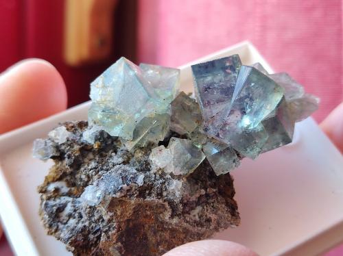 Fluorita<br />Rogerley Mine, Frosterley, Weardale, North Pennines Orefield, County Durham, England / United Kingdom<br />5 cm<br /> (Autor: Cesar M. Salvan)