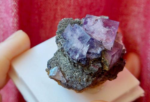 Fluorita<br />Pike Law Mines, Newbiggin, Teesdale, North Pennines Orefield, County Durham, England / United Kingdom<br />Cristal 1.4 cm<br /> (Autor: Cesar M. Salvan)