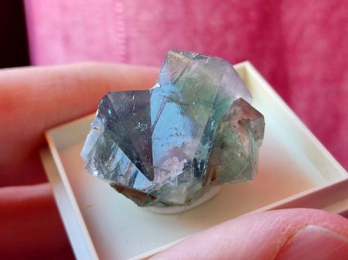 Fluorita<br />Heights Quarry, Westgate, Weardale, North Pennines Orefield, County Durham, England / United Kingdom<br />2.5 cm<br /> (Autor: Cesar M. Salvan)