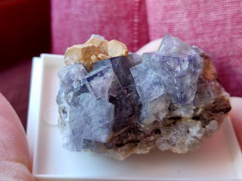 Fluorita<br />Smallcleugh Mine, Nenthead mines area, Alston Moor mining district, Nenthead, Eden, North Pennines Orefield, former Cumberland, Cumbria, England / United Kingdom<br />4.5 cm<br /> (Autor: Cesar M. Salvan)