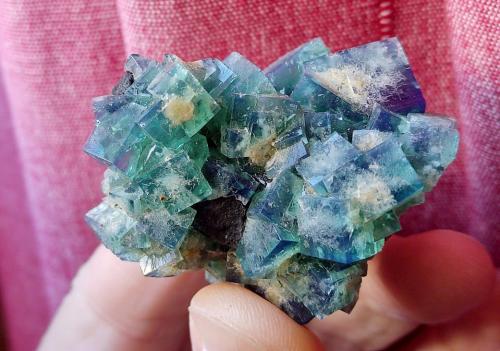 Fluorita<br />Rogerley Mine, Frosterley, Weardale, North Pennines Orefield, County Durham, England / United Kingdom<br />6 cm<br /> (Autor: Cesar M. Salvan)