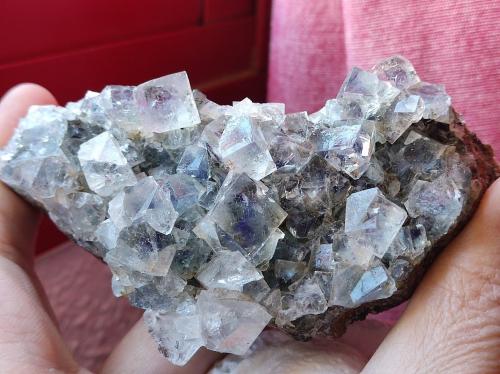 Fluorita<br />Heights Quarry, West Cross vein, Westgate, Weardale, North Pennines Orefield, County Durham, England / United Kingdom<br />11 cm<br /> (Autor: Cesar M. Salvan)