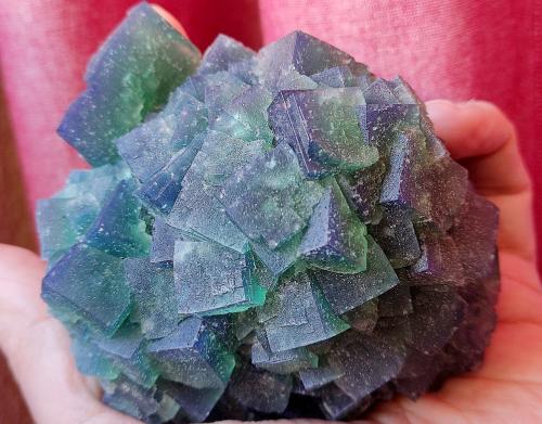 Fluorita<br />Rogerley Mine, Frosterley, Weardale, North Pennines Orefield, County Durham, England / United Kingdom<br />12 cm<br /> (Autor: Cesar M. Salvan)